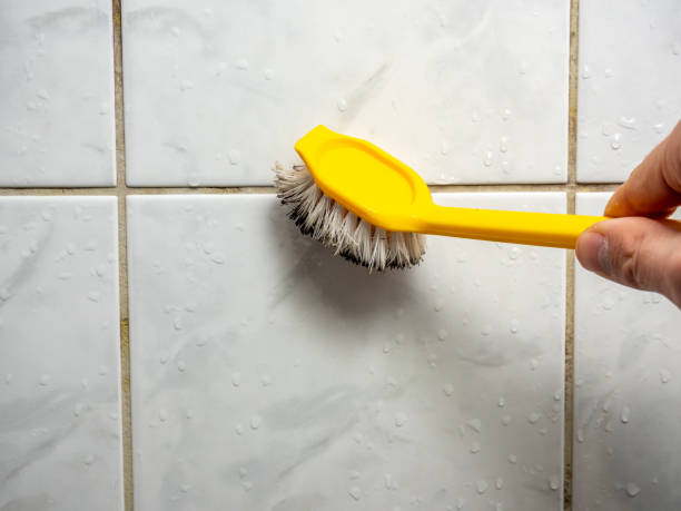 Best Post-Flood Mold Remediation in Edgewater, NJ