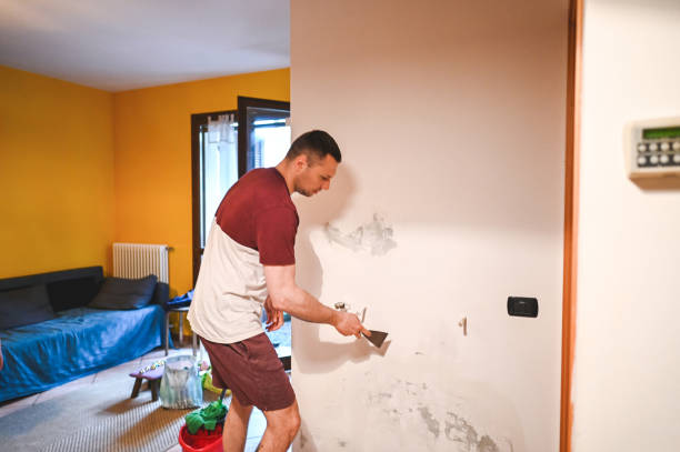 Best Post-Remediation Services in Edgewater, NJ